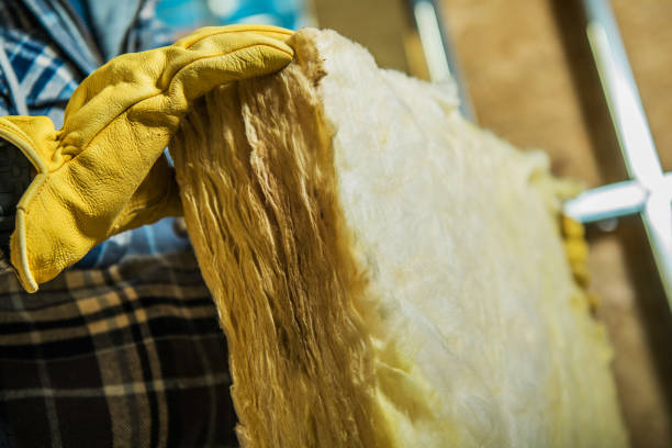 Best Specialty Insulation in Calhoun Falls, SC